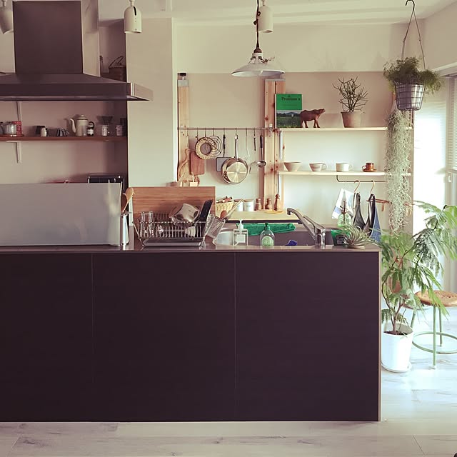 キッチン/アイランドキッチン/エアープランツ/観葉植物/DIY...などのインテリア実例 - 2016-08-05 14:05:09