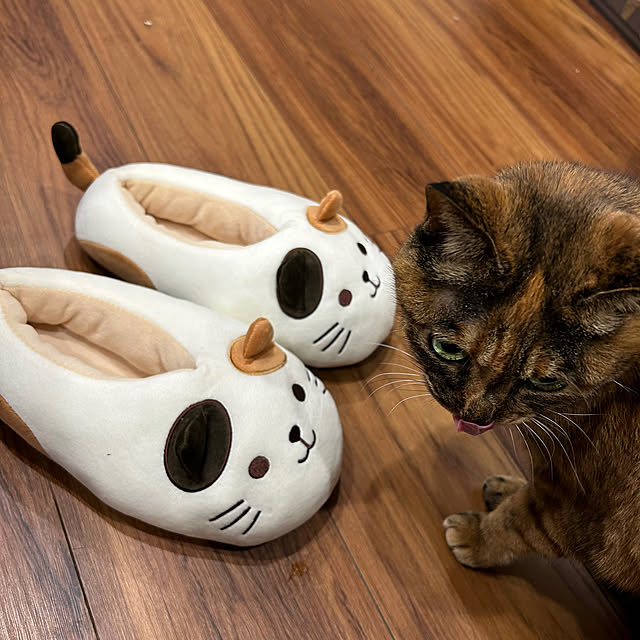 mikeume7さんの実例写真