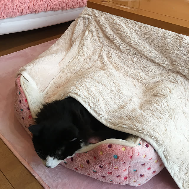 kanaさんの実例写真