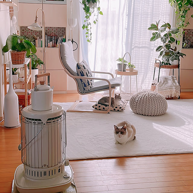 milkcocoaさんの実例写真