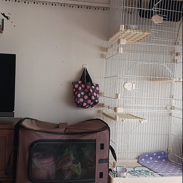 aiさんの実例写真