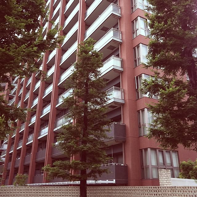 cyokotaroさんの実例写真