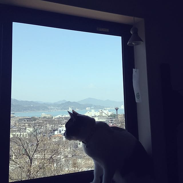 becteさんの実例写真
