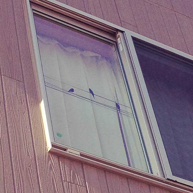 maruさんの実例写真