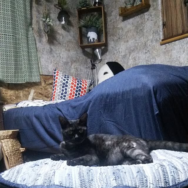 kuroさんの実例写真