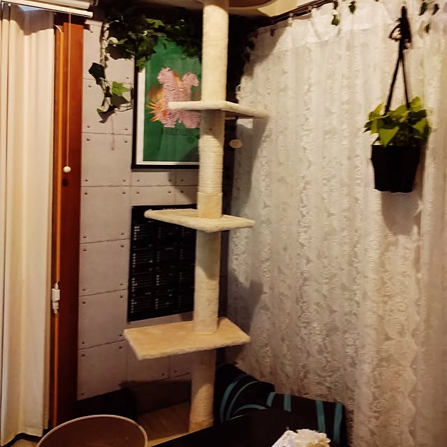 runaさんの部屋