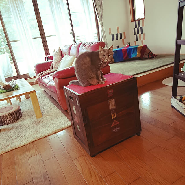 uchizukonyanさんの実例写真