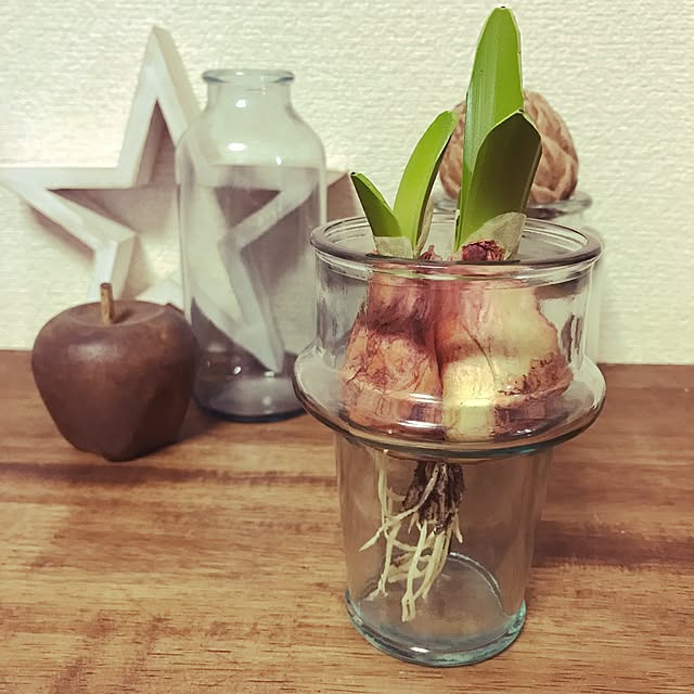 naoさんの実例写真