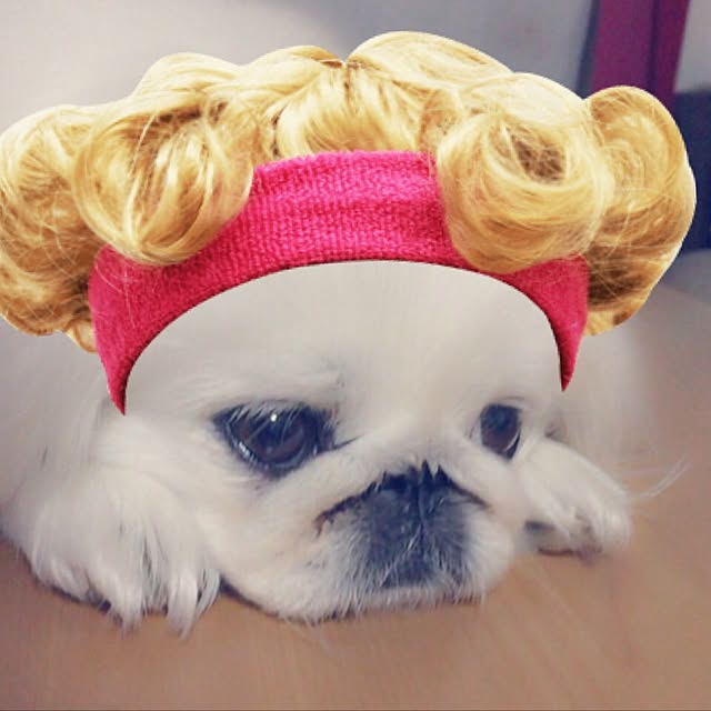 miyokoさんの実例写真