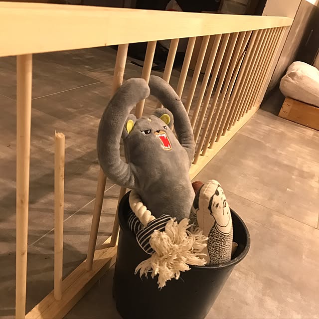 misamariさんの実例写真