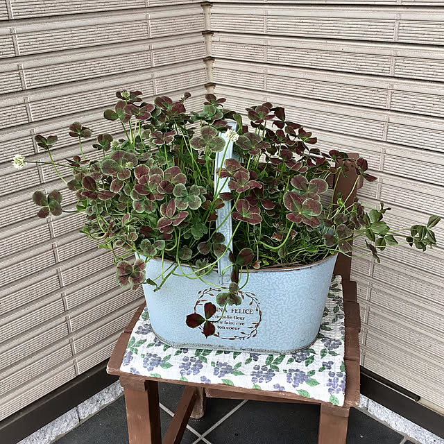 houenさんの実例写真