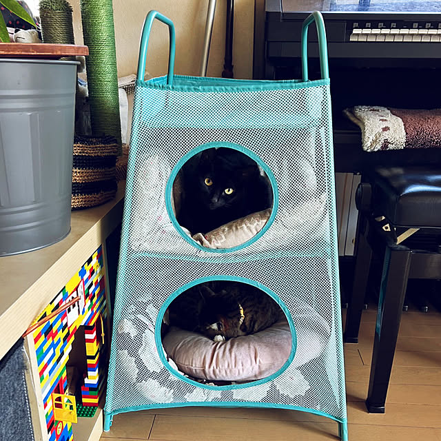 suemonta14さんの実例写真