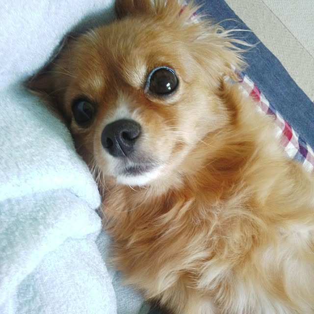 NATTUさんの実例写真