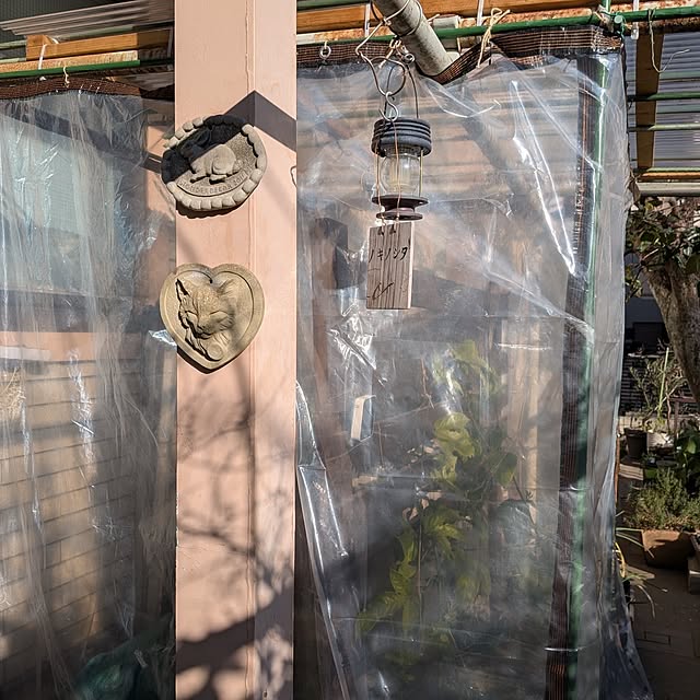 botanさんの部屋