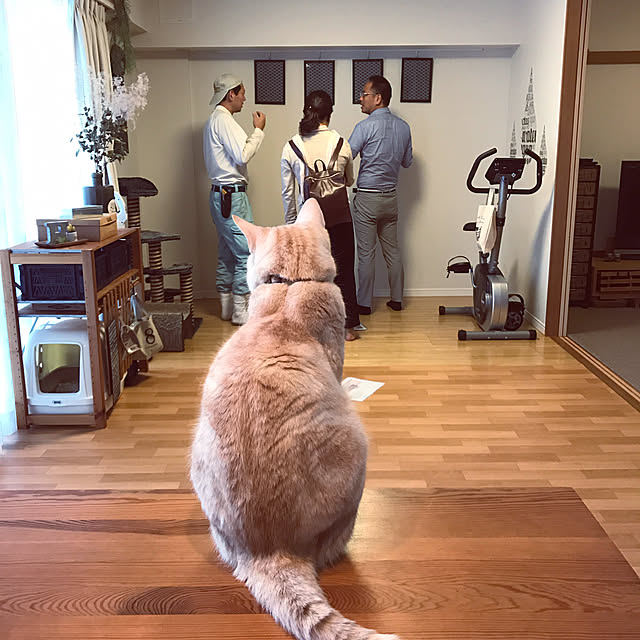 hiyupan88さんの実例写真