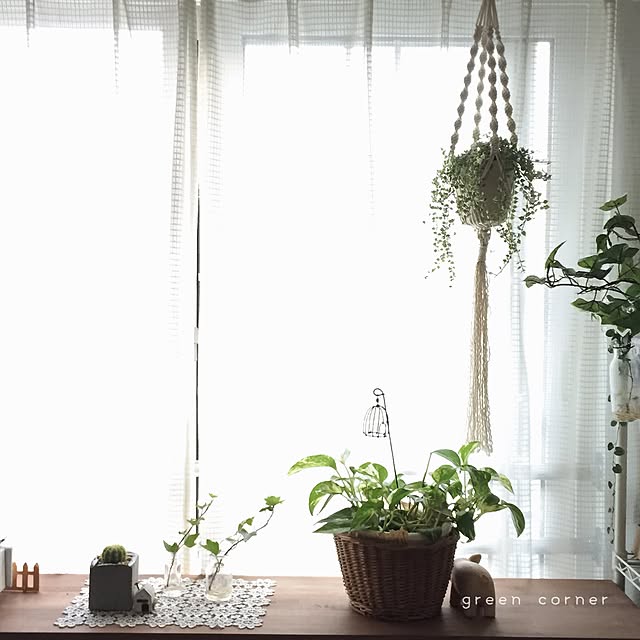 mayuringoさんの実例写真