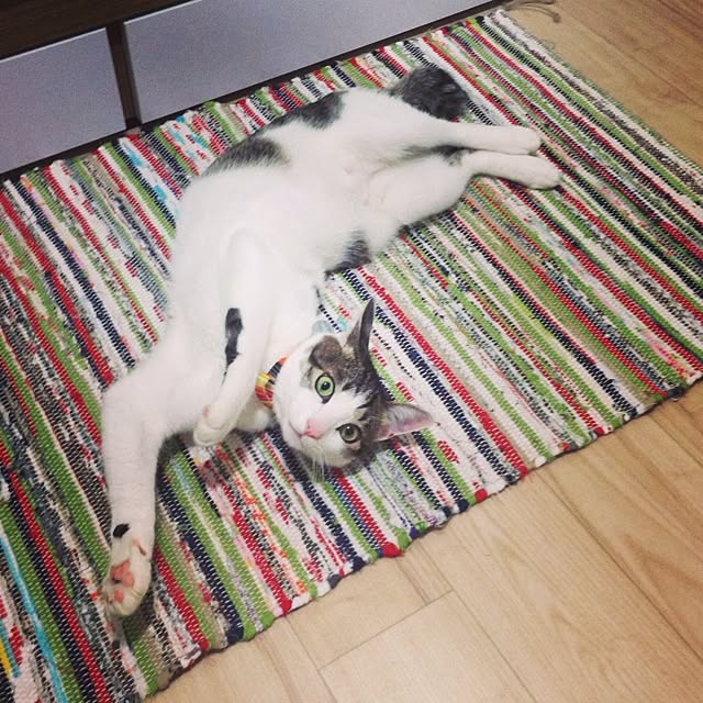 saisさんの実例写真