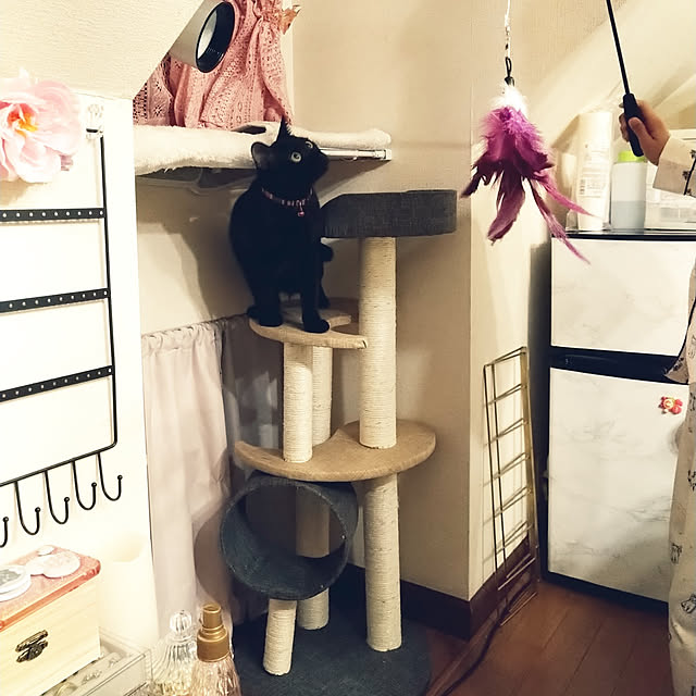 Tさんの実例写真