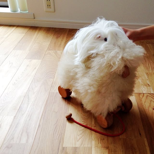 Atsushiさんの実例写真