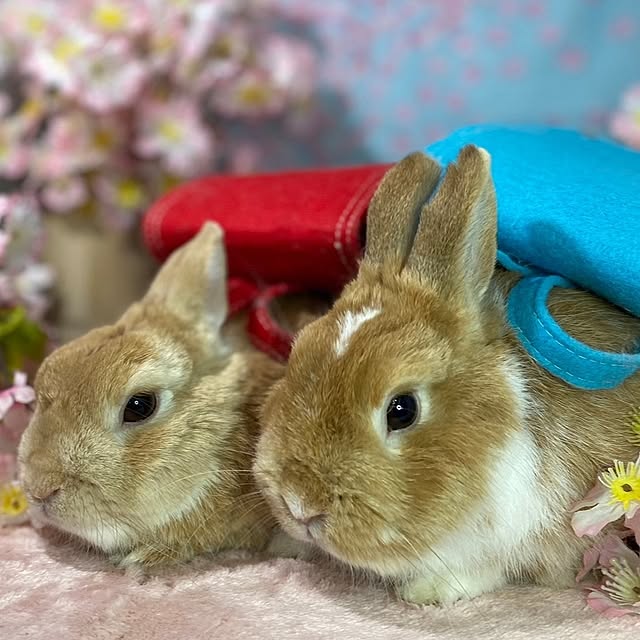aiさんの部屋