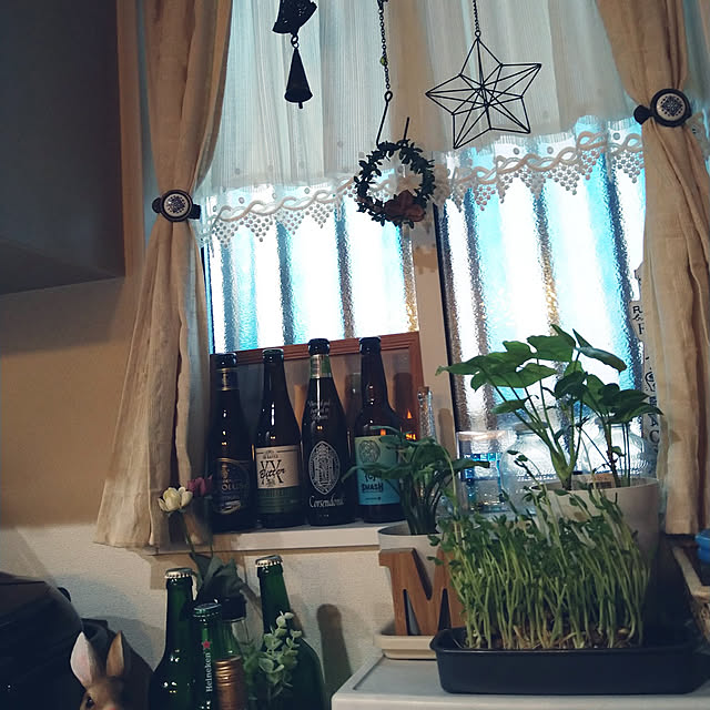 ORIN3さんの実例写真