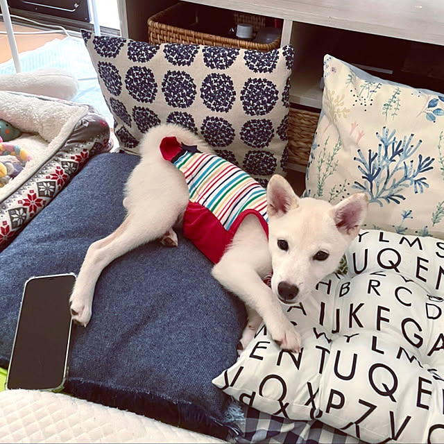 mo-nosukeさんの実例写真