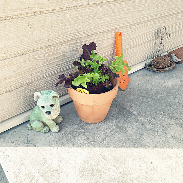 shimoamさんの実例写真