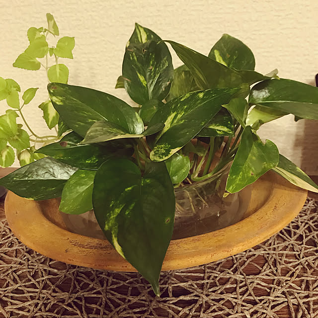 noharaさんの実例写真