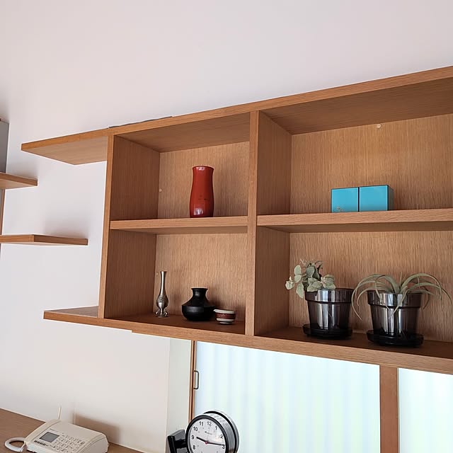 nyanzaurusさんの実例写真