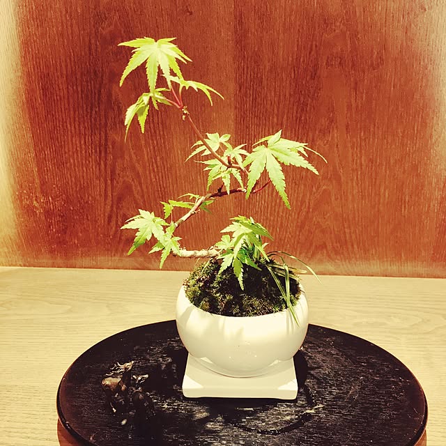 bayblueさんの実例写真