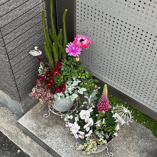 maayaさんの部屋