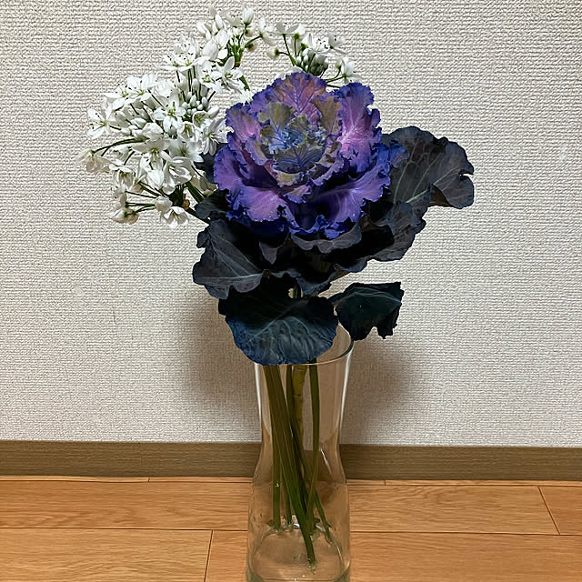 実例写真