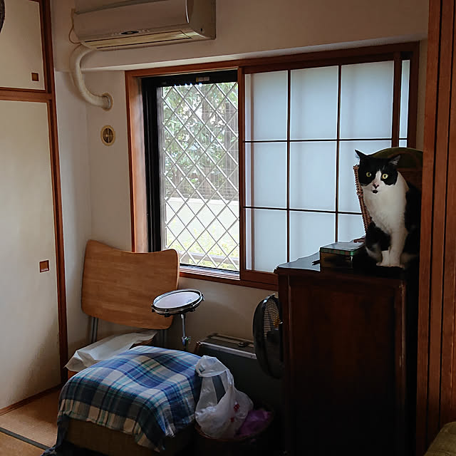 okyosan101さんの実例写真