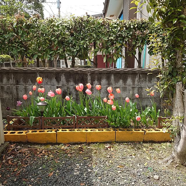 fukuさんの実例写真