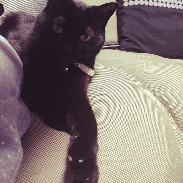 ALPSさんの実例写真