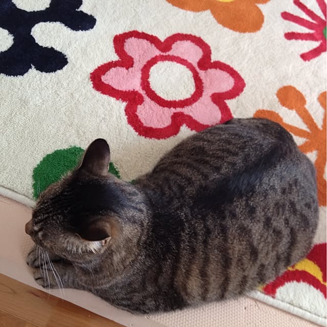 sellyoakさんの実例写真
