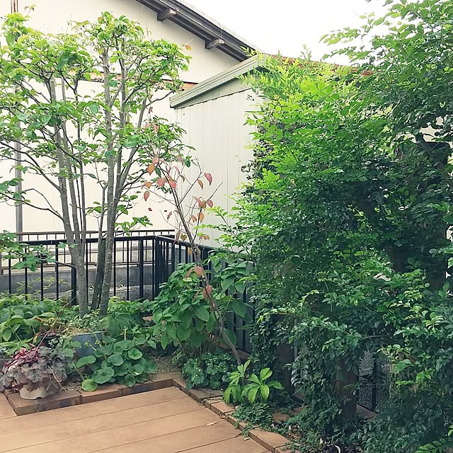 marimariさんの部屋
