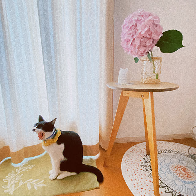 moolさんの部屋
