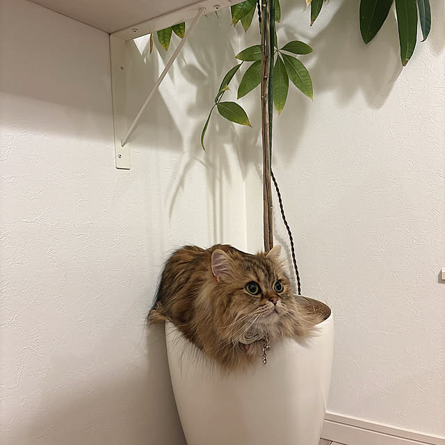 miyu39さんの部屋