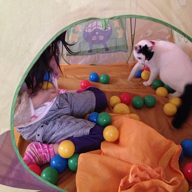 pandasyokudoさんの実例写真