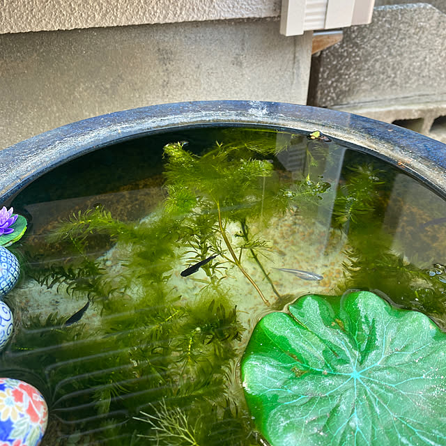masato.mikiさんの部屋