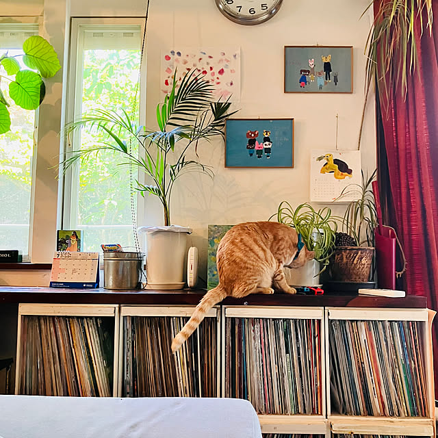 tomorinさんの部屋