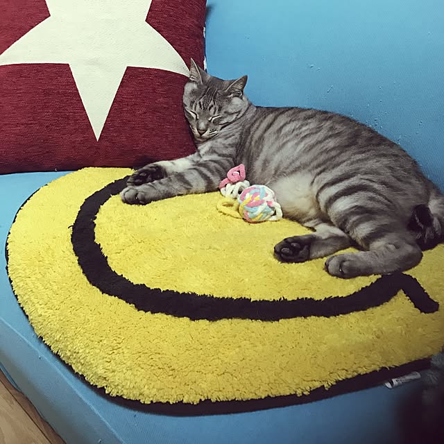 bubuさんの実例写真