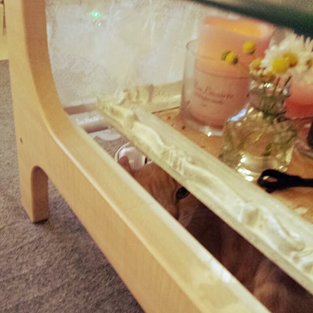 cottonさんの実例写真