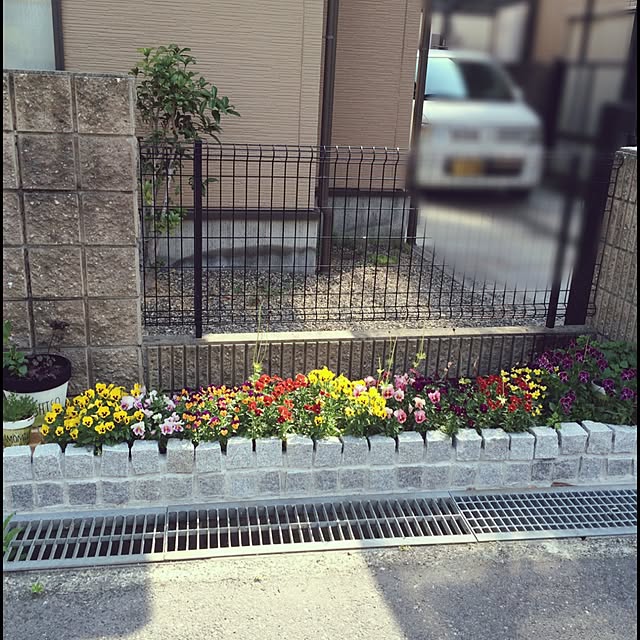 maffy32さんの実例写真