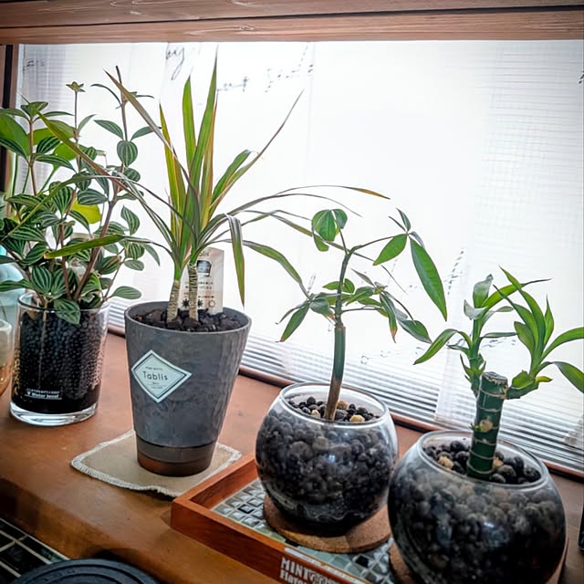 naoporonさんの部屋