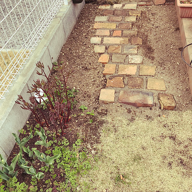 yuimokochanさんの実例写真