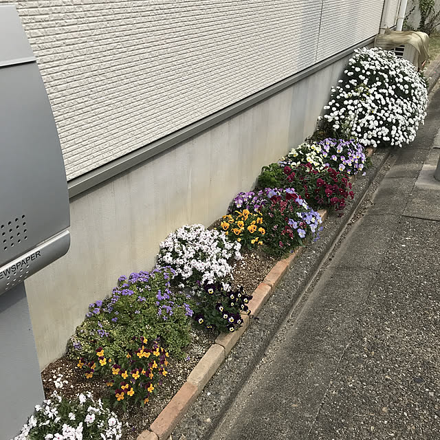 kikita_99さんの実例写真