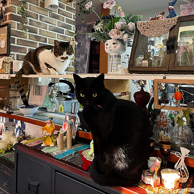 jijiさんの実例写真