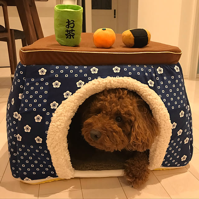 mocotaroさんの実例写真